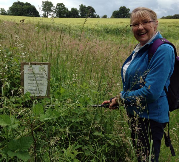 3. Julie finds a sign.jpg